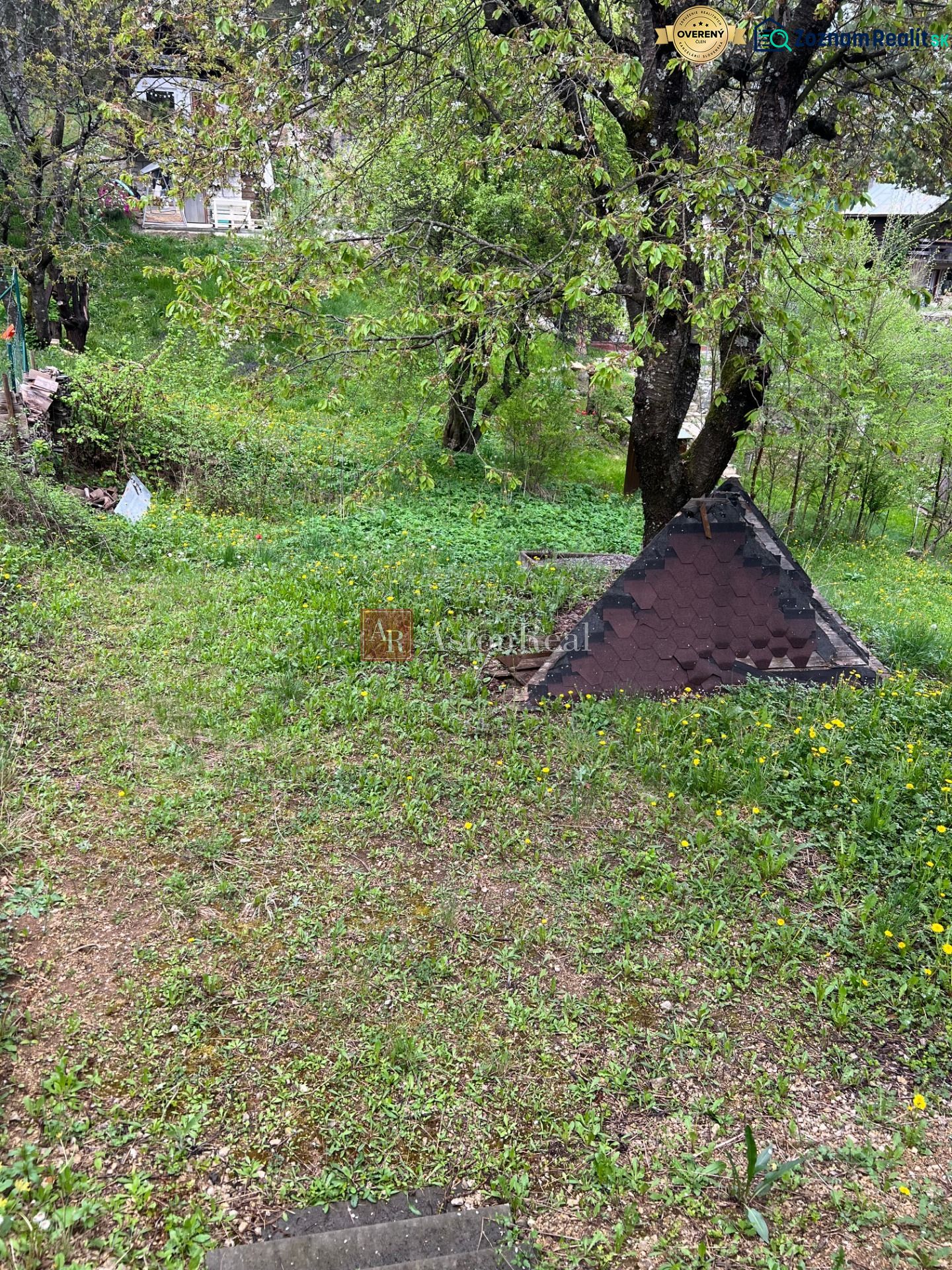 Fotografia 5