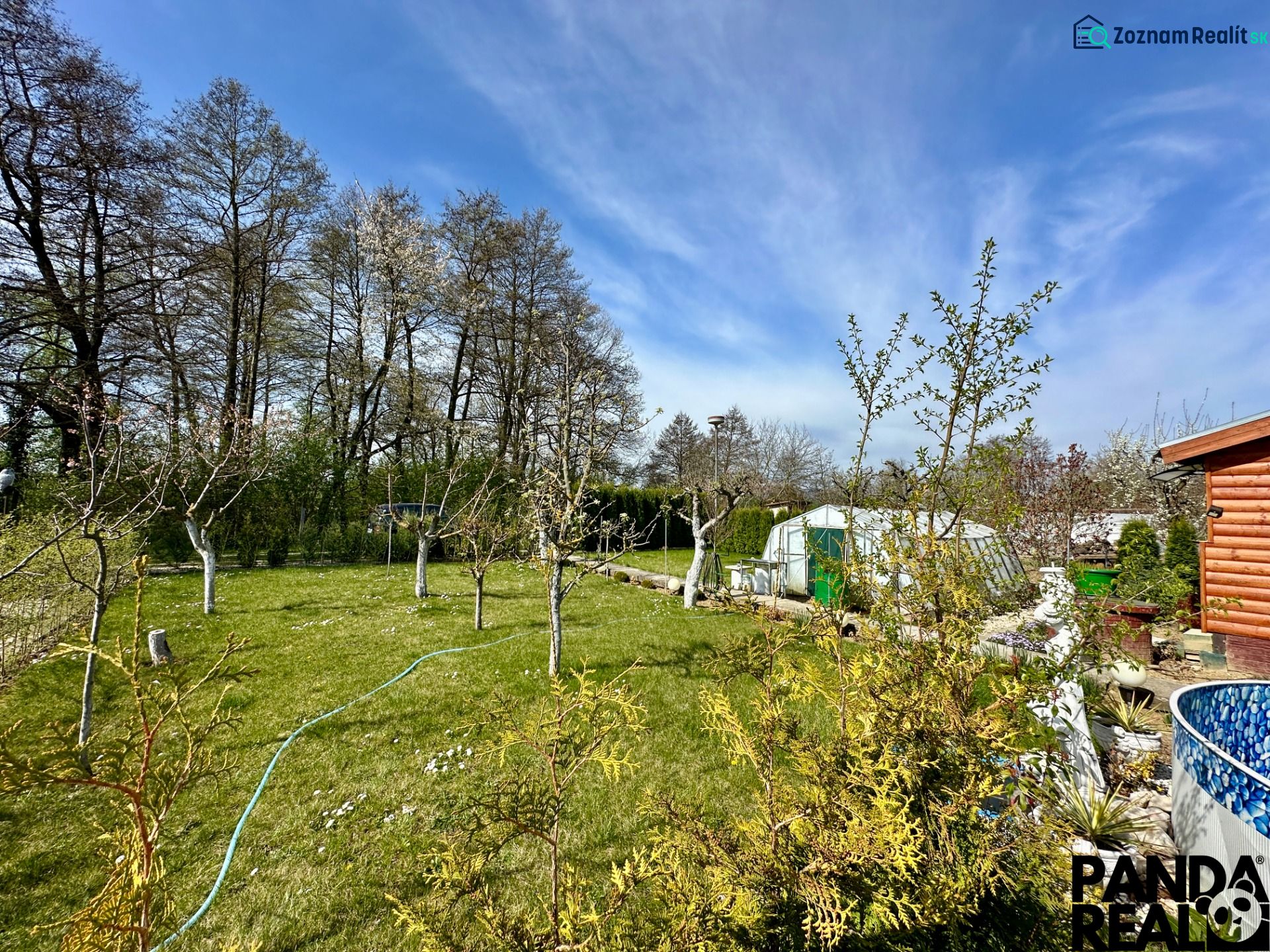 Fotografia 18