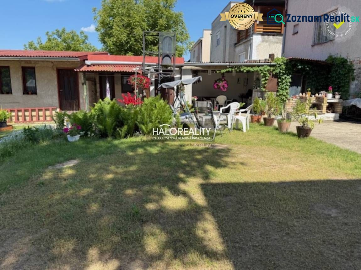 Fotografia 5