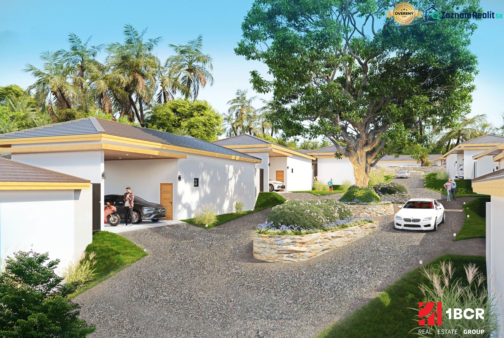 Fotografia 6