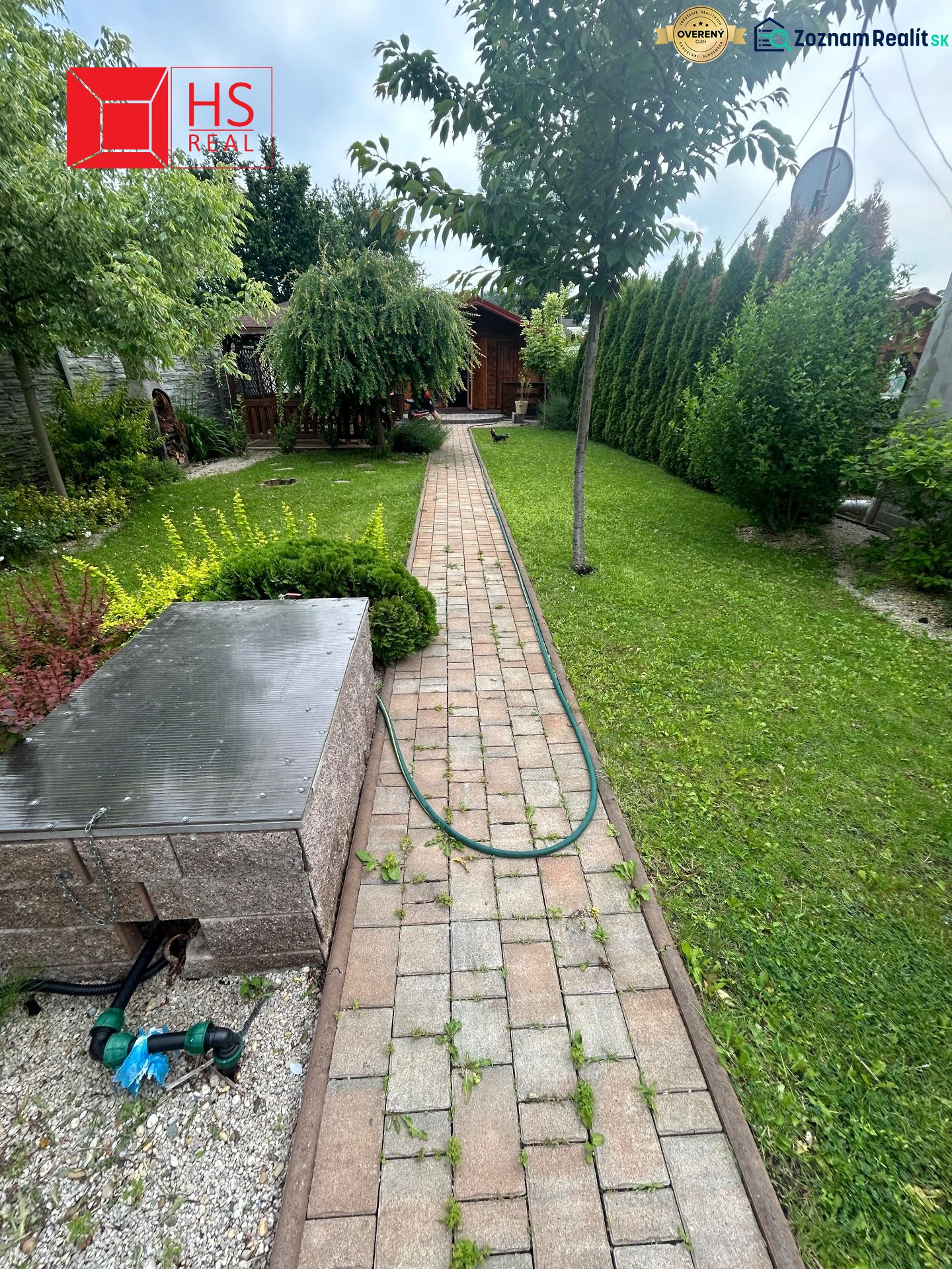 Fotografia 6