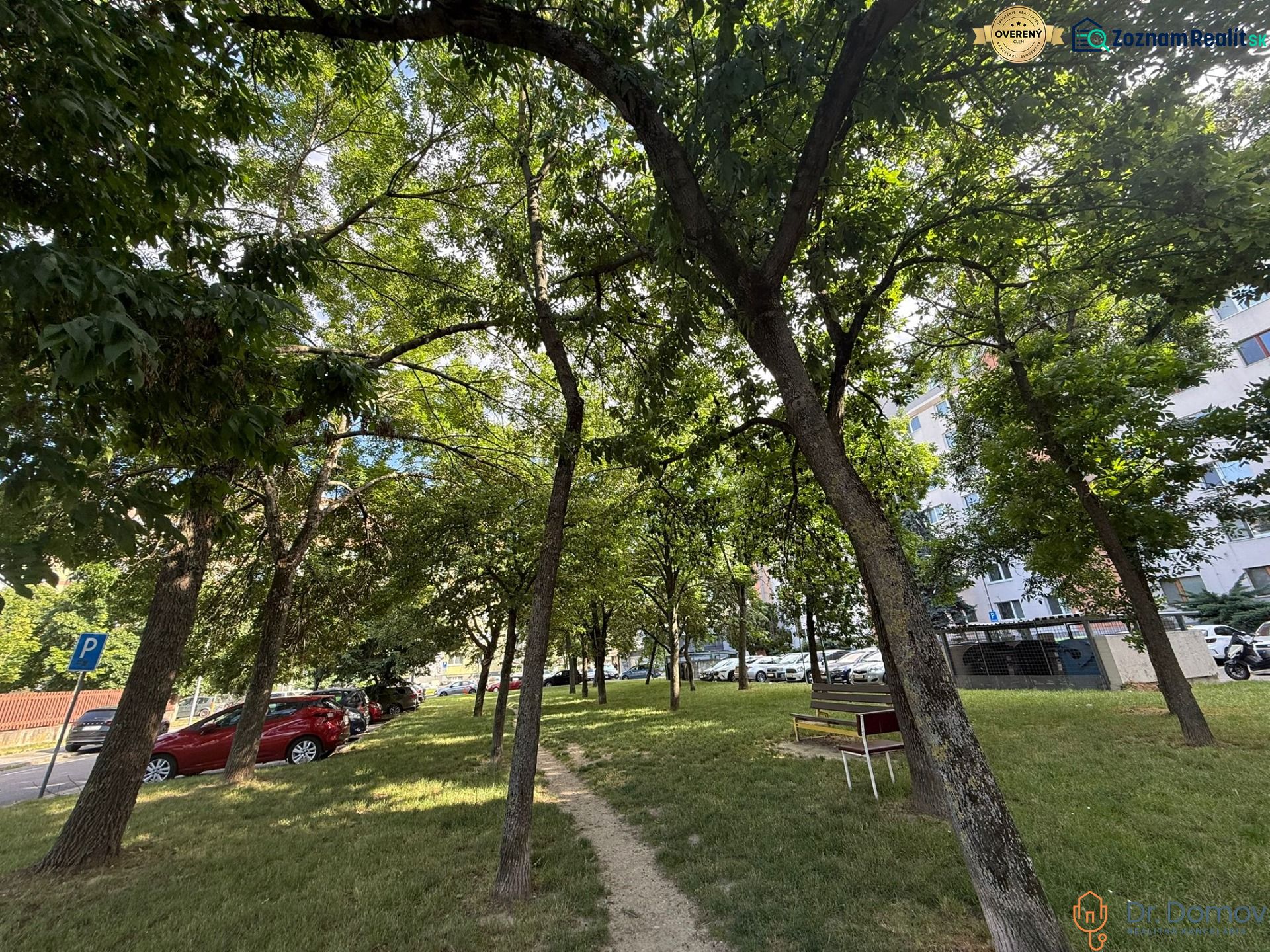 Fotografia 14