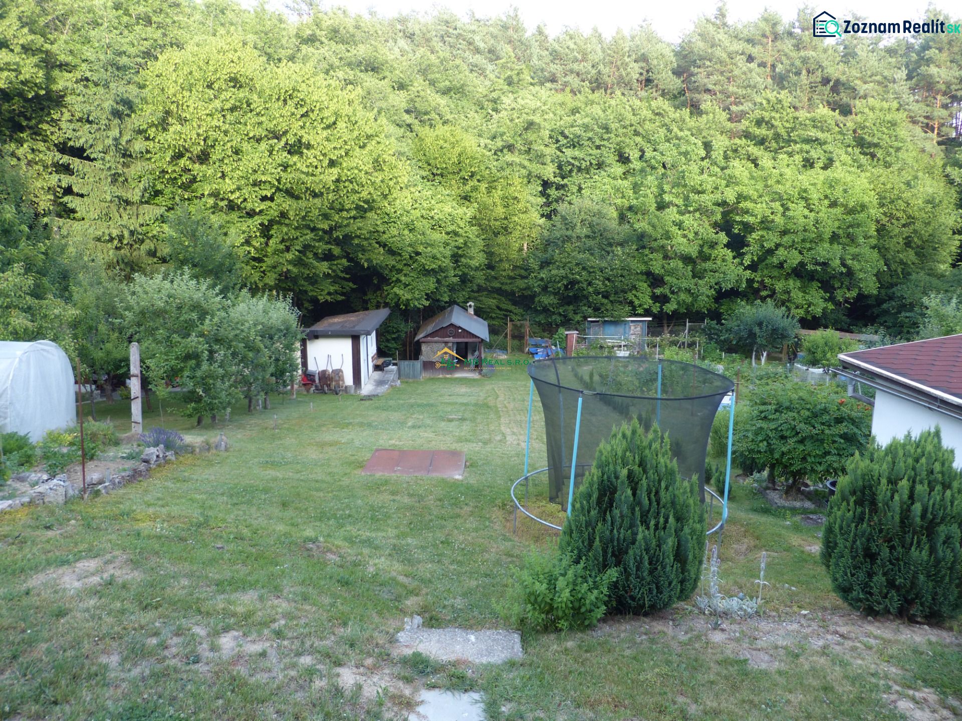 Fotografia 7