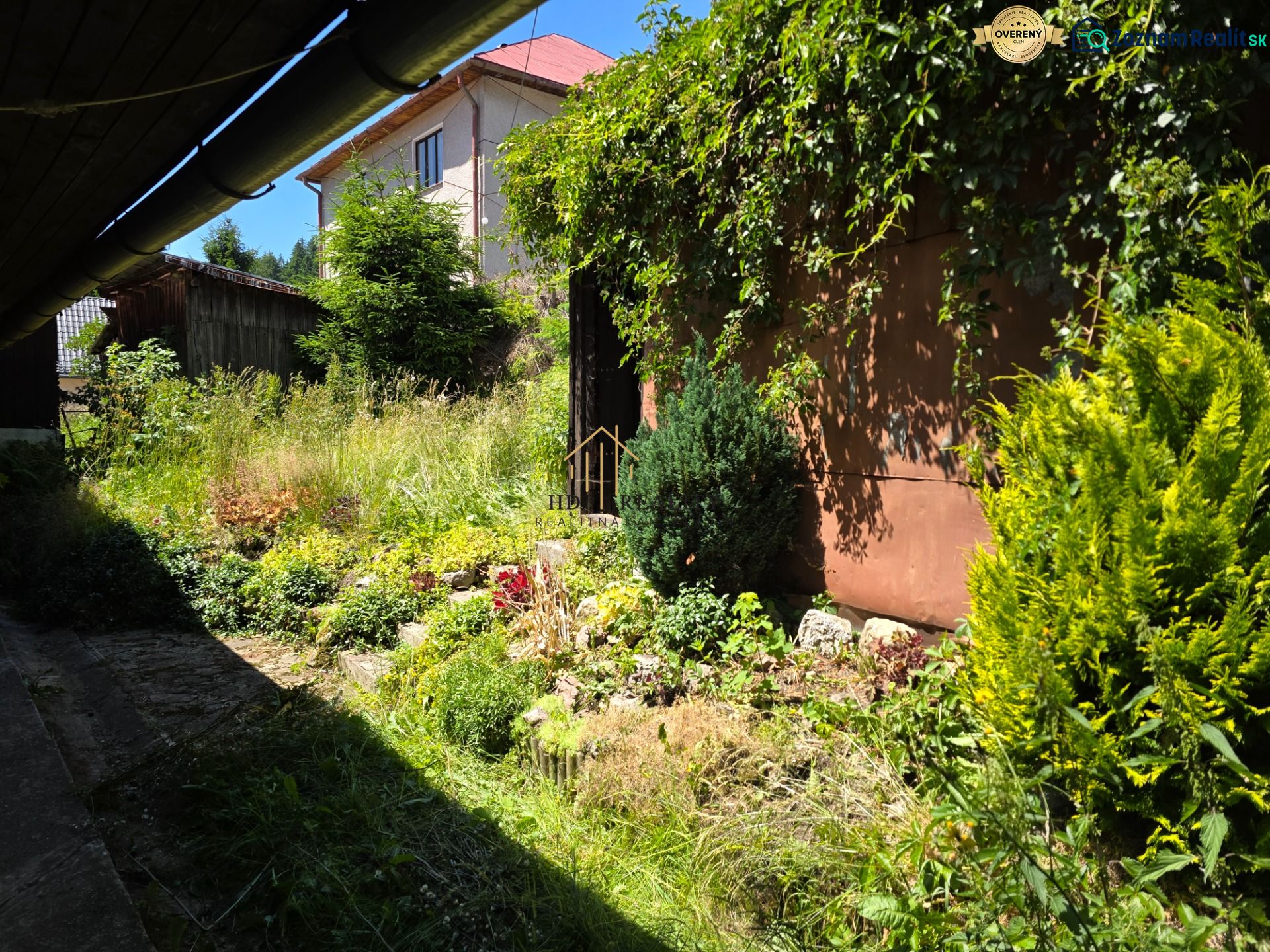 Fotografia 5