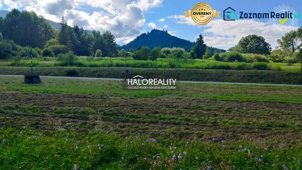 Fotografia 4