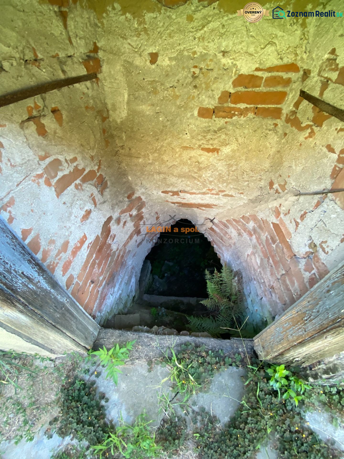 Fotografia 5