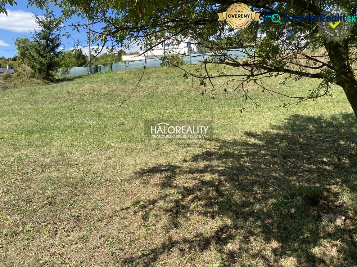 Fotografia 5