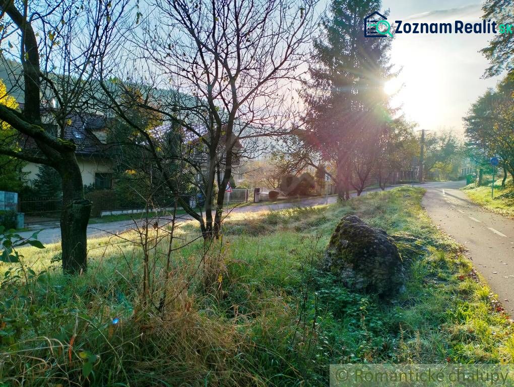 Fotografia 7