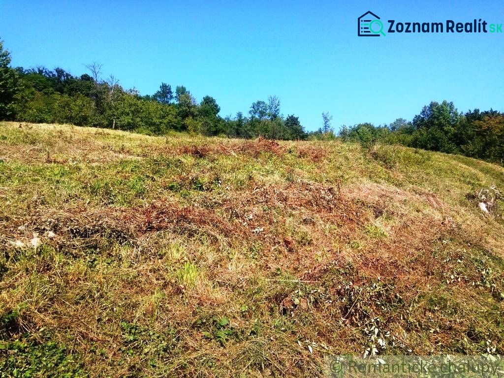 Fotografia 17