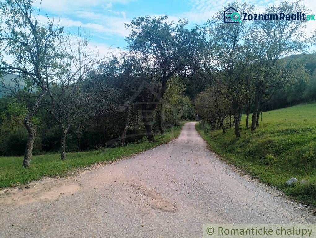 Fotografia 11