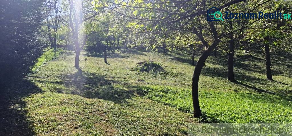 Fotografia 15