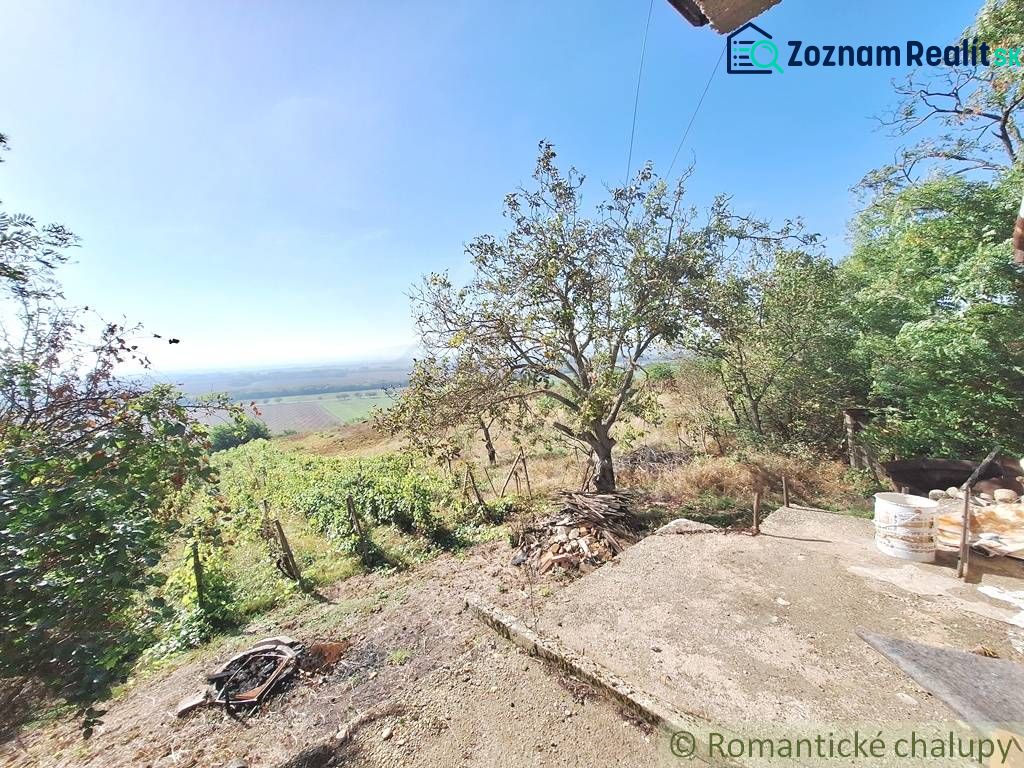 Fotografia 7