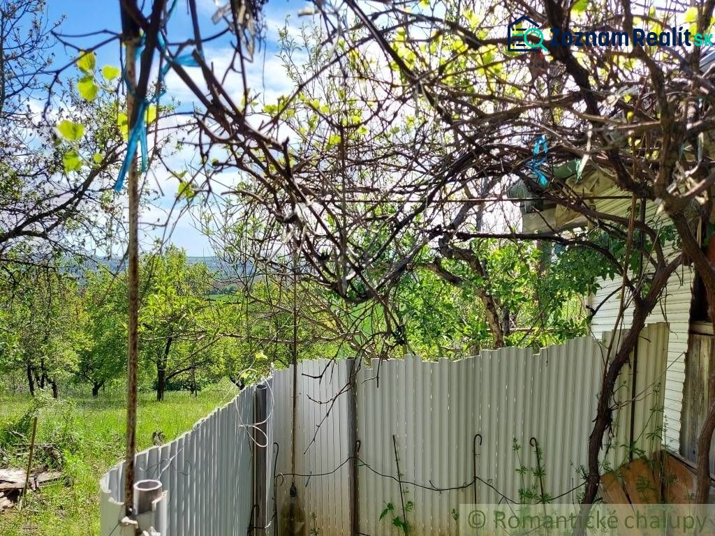 Fotografia 8