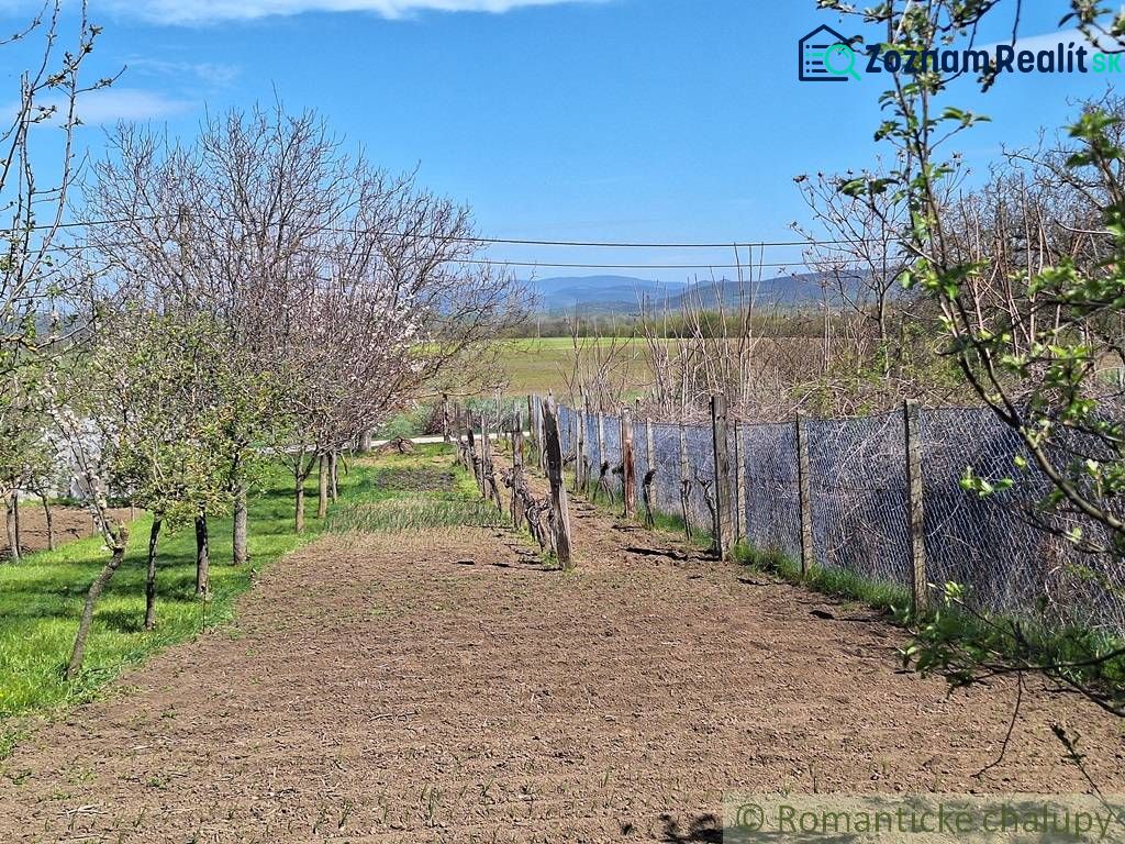 Fotografia 6