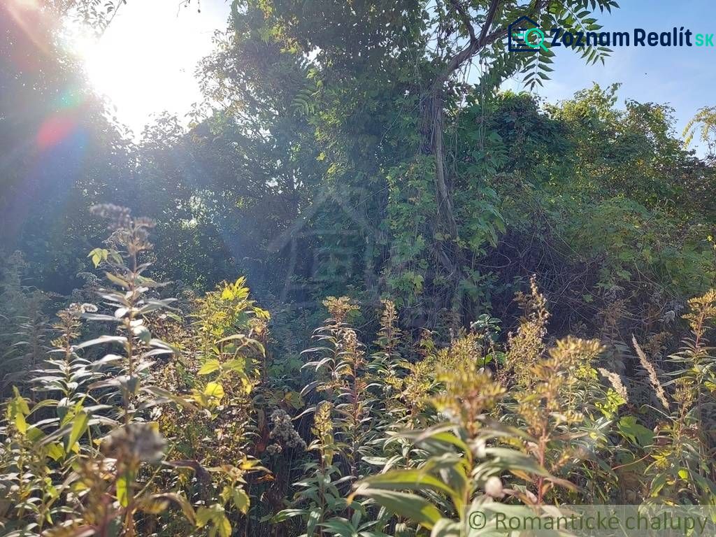 Fotografia 11