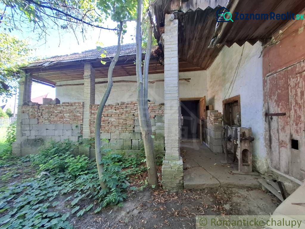 Fotografia 6