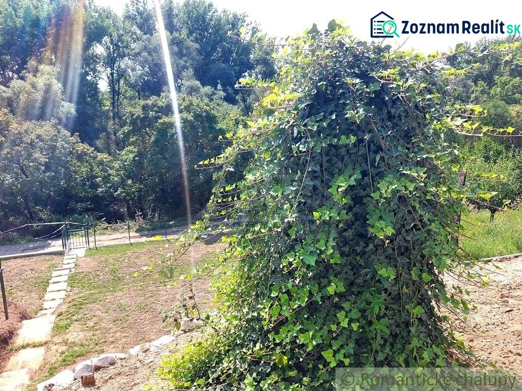 Fotografia 18