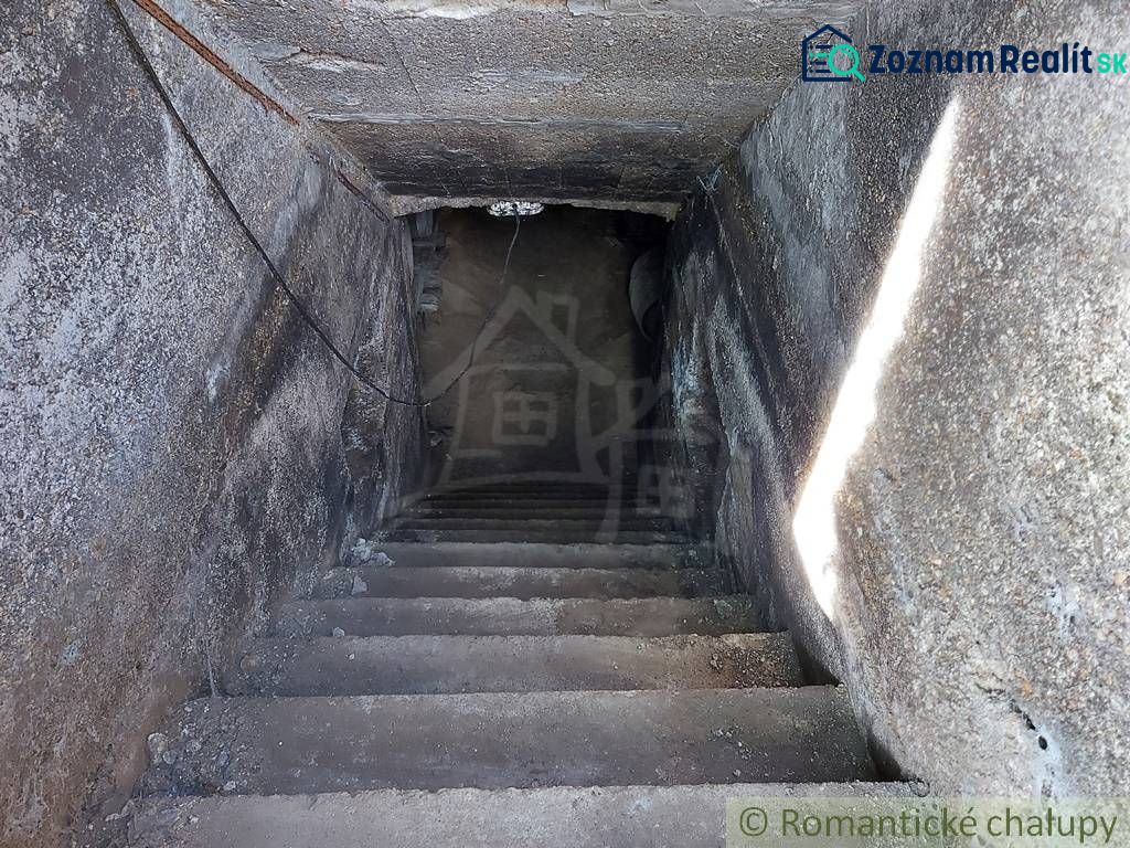Fotografia 8