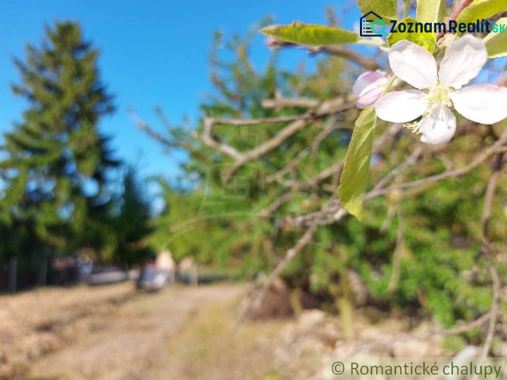 Fotografia 17
