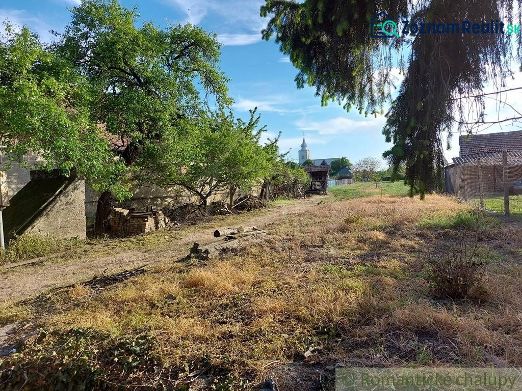 Fotografia 6