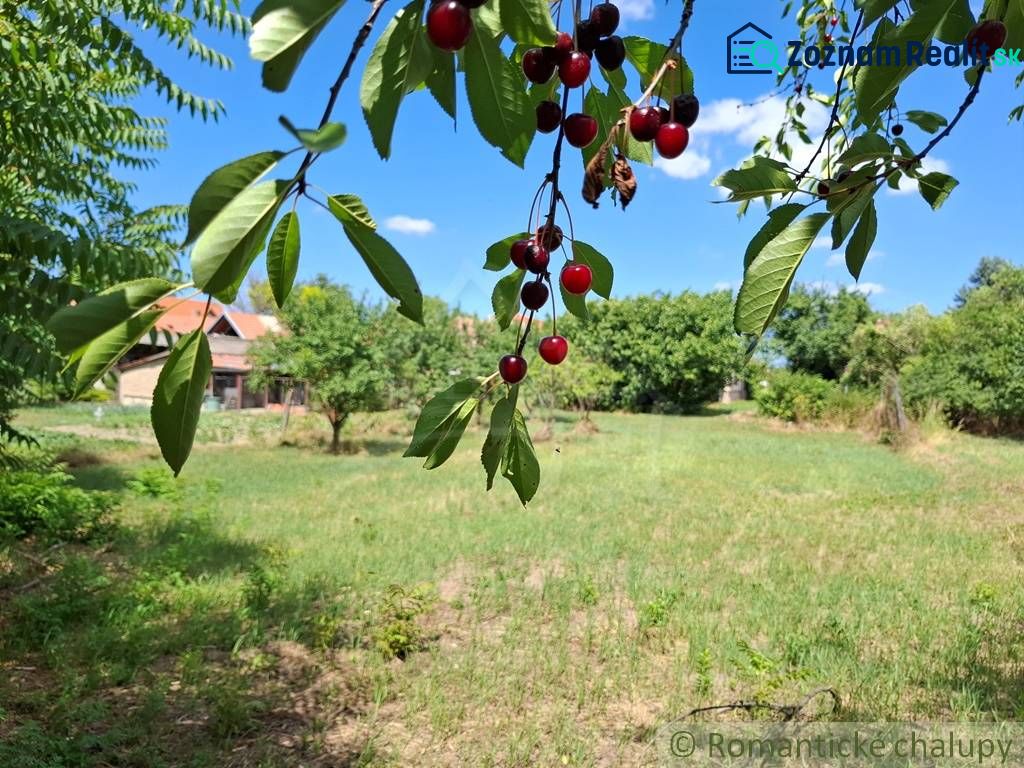 Fotografia 5