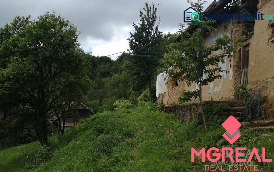Fotografia 3