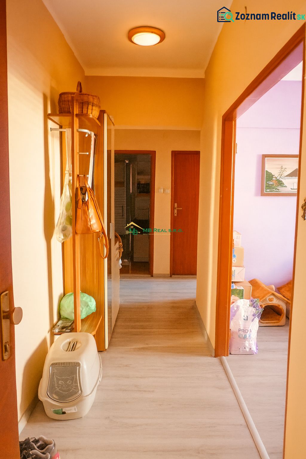 Fotografia 5