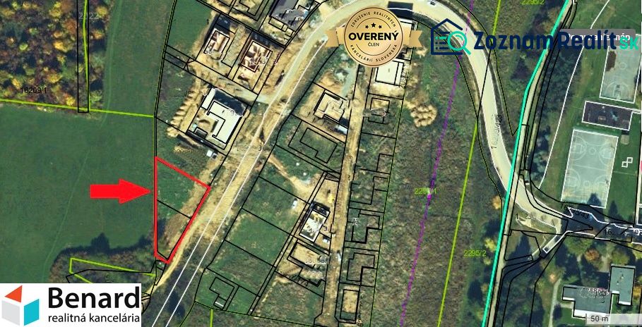 Fotografia 7