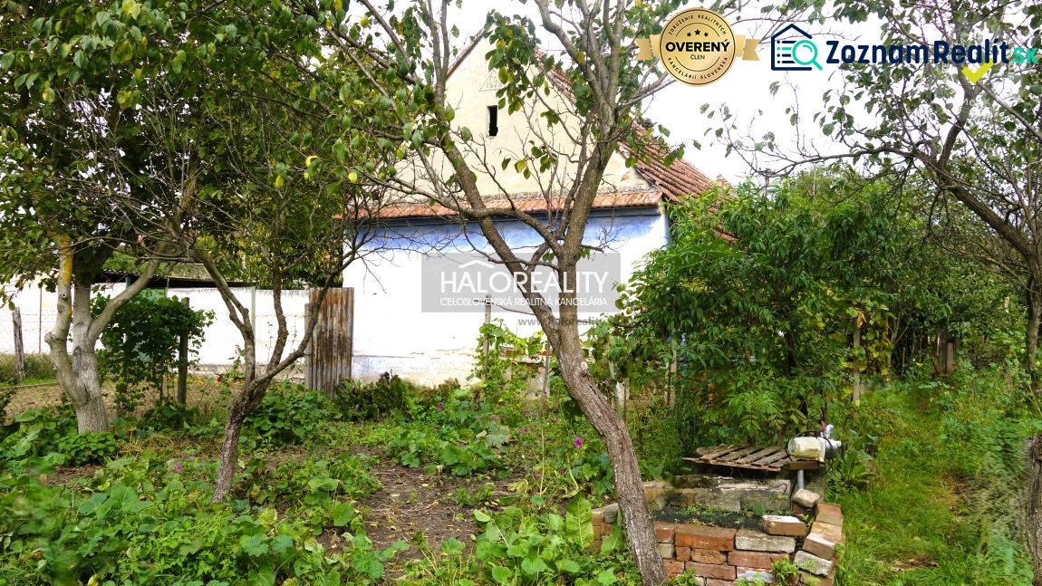Fotografia 5