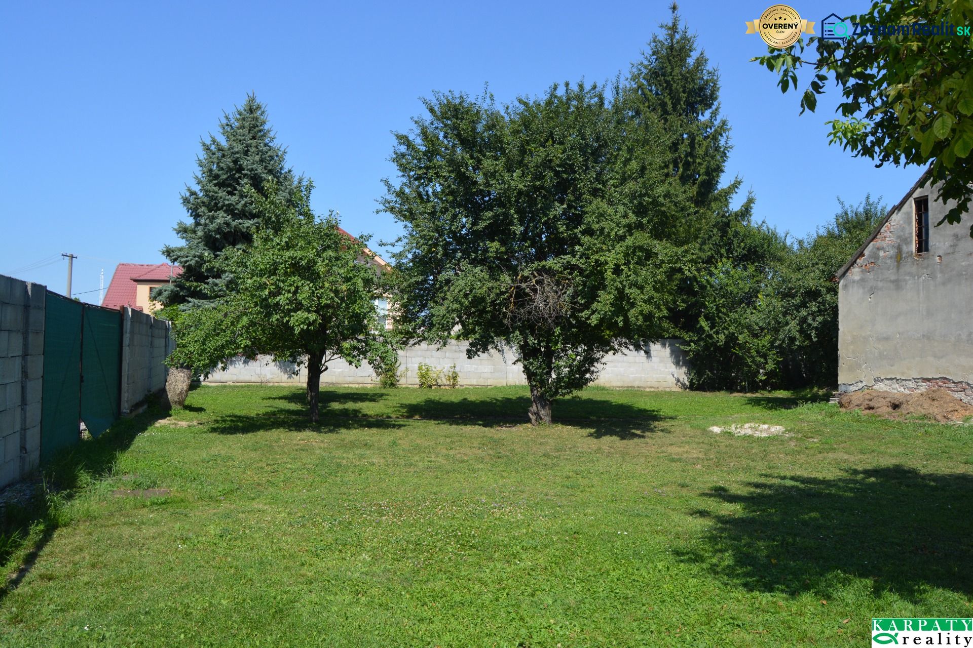 Fotografia 3