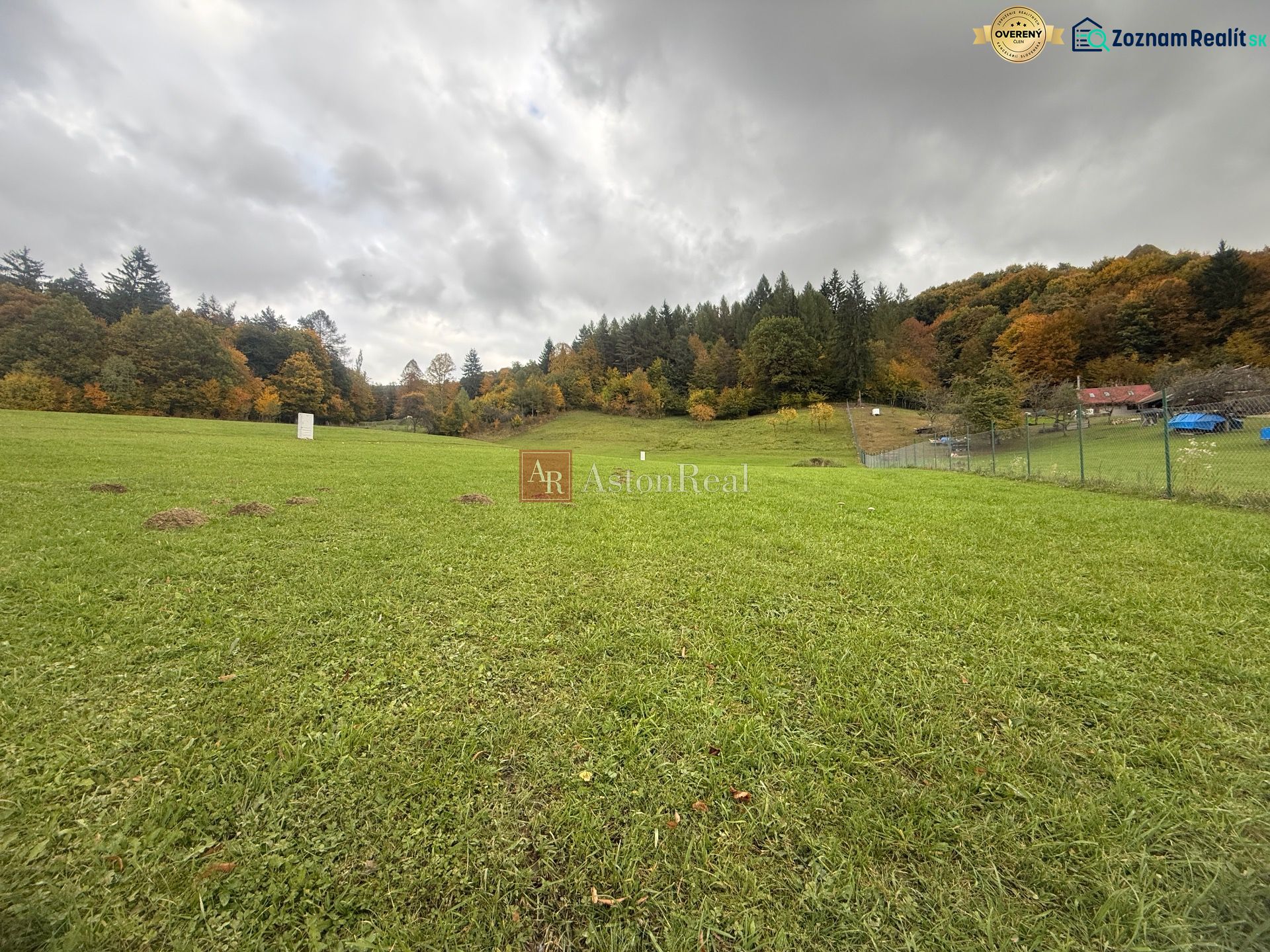 Fotografia 3