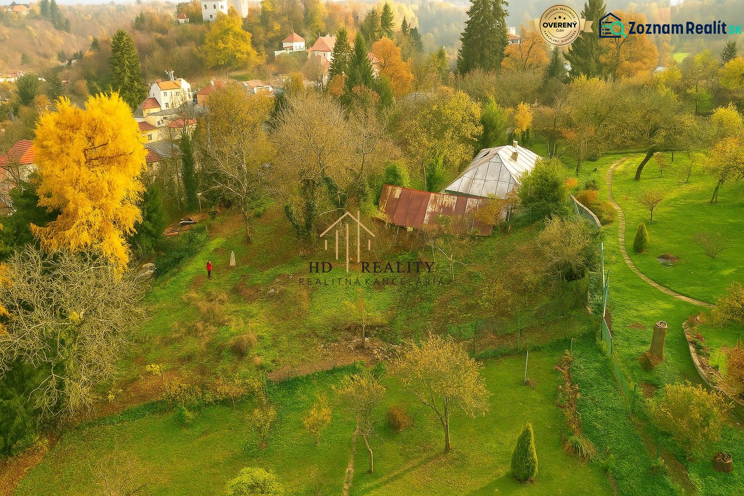 Fotografia 10