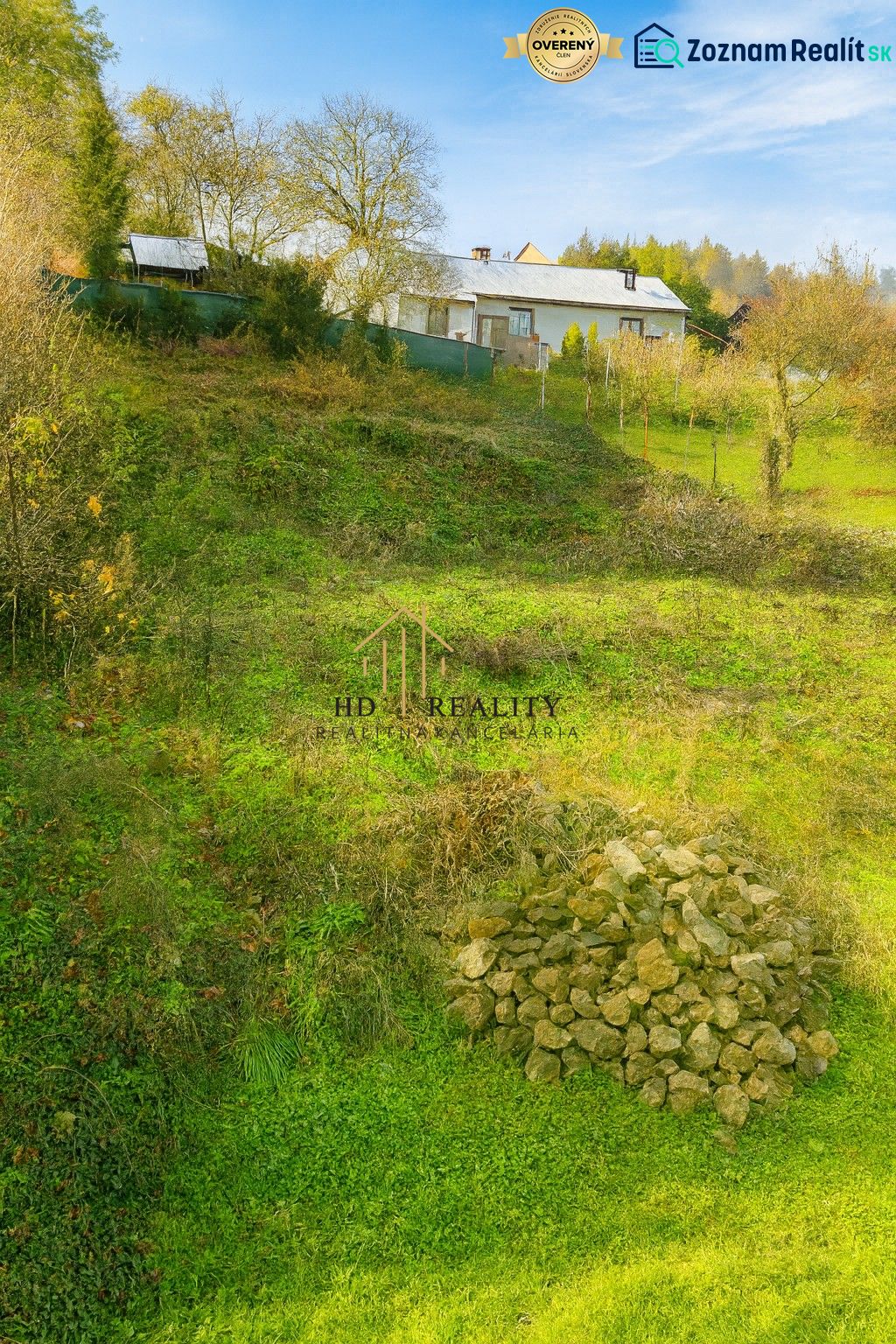 Fotografia 8
