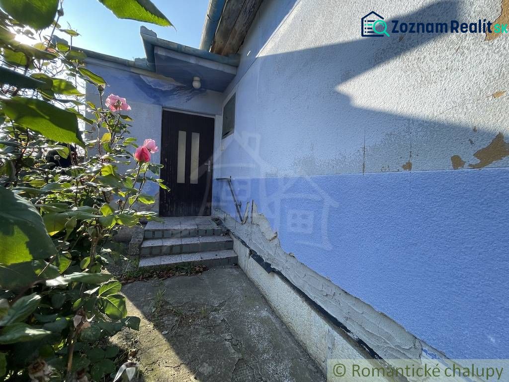Fotografia 6