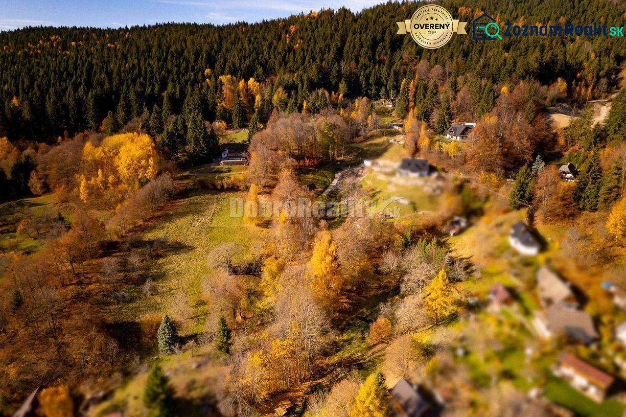 Fotografia 8