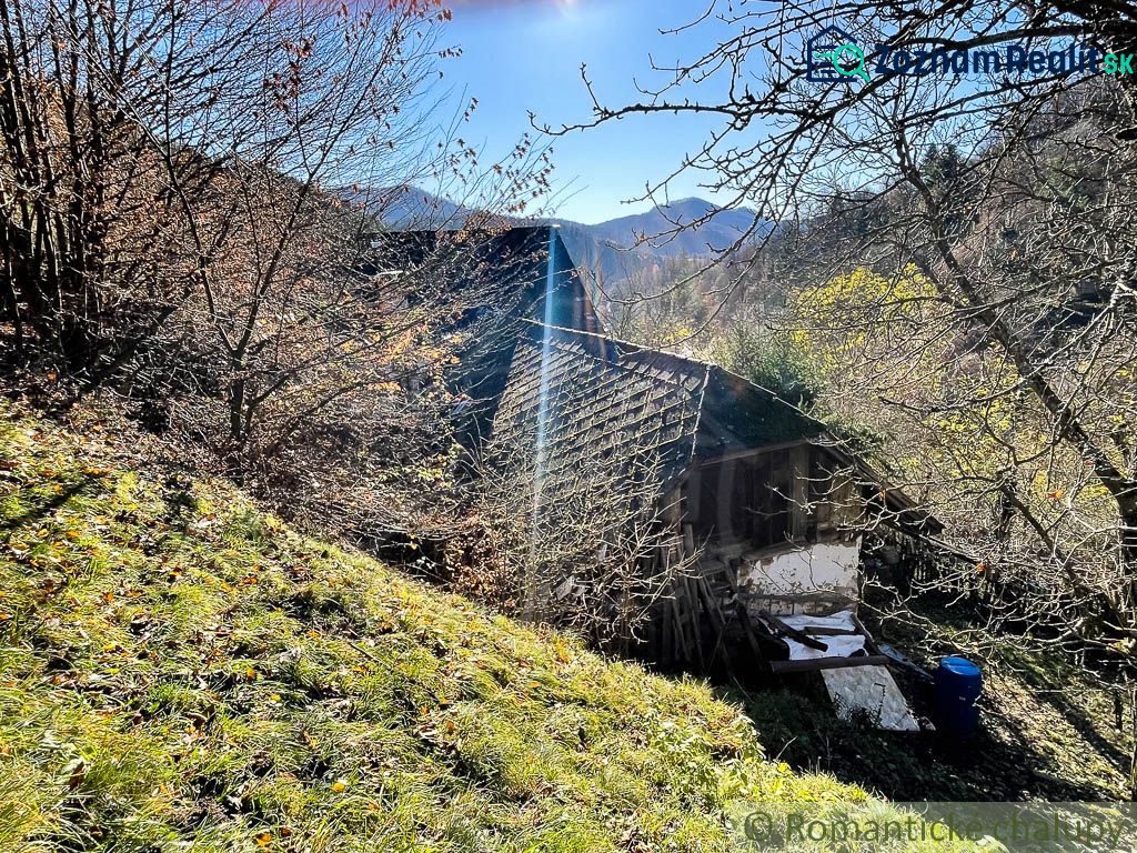 Fotografia 6