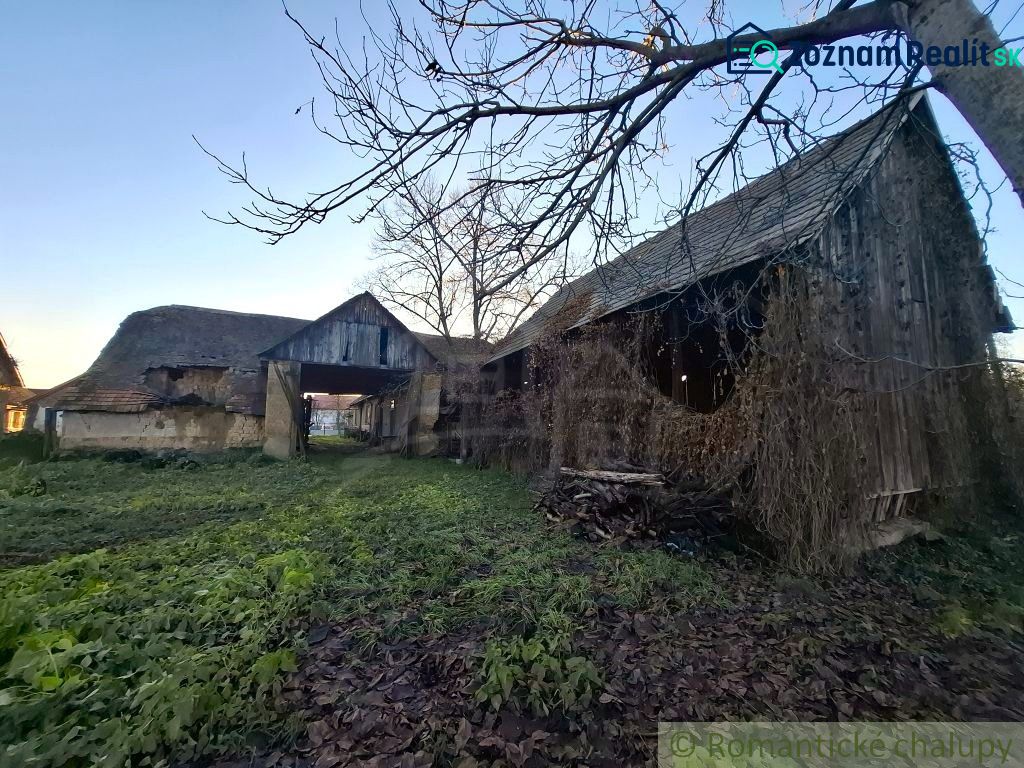 Fotografia 5