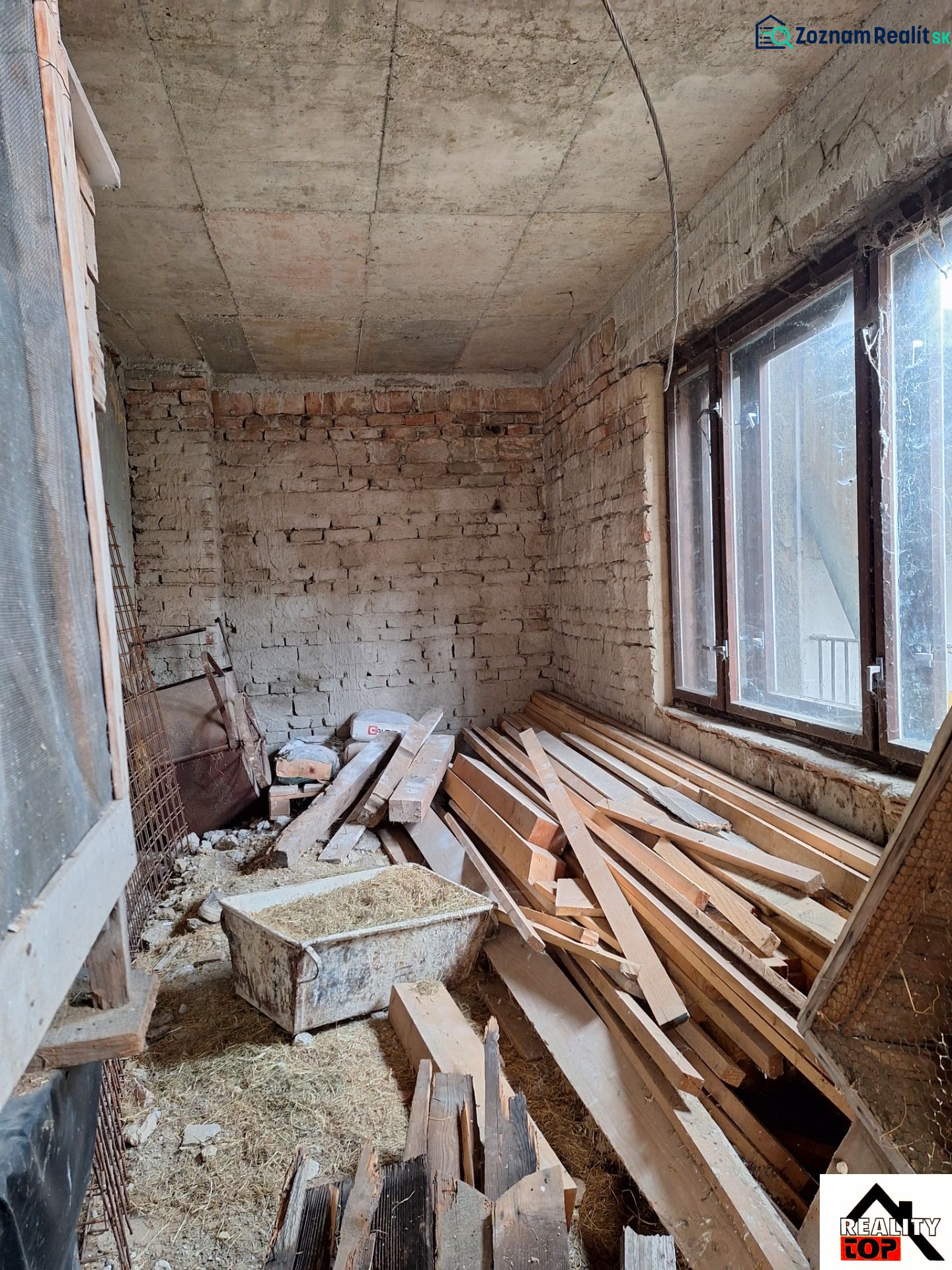 Fotografia 10