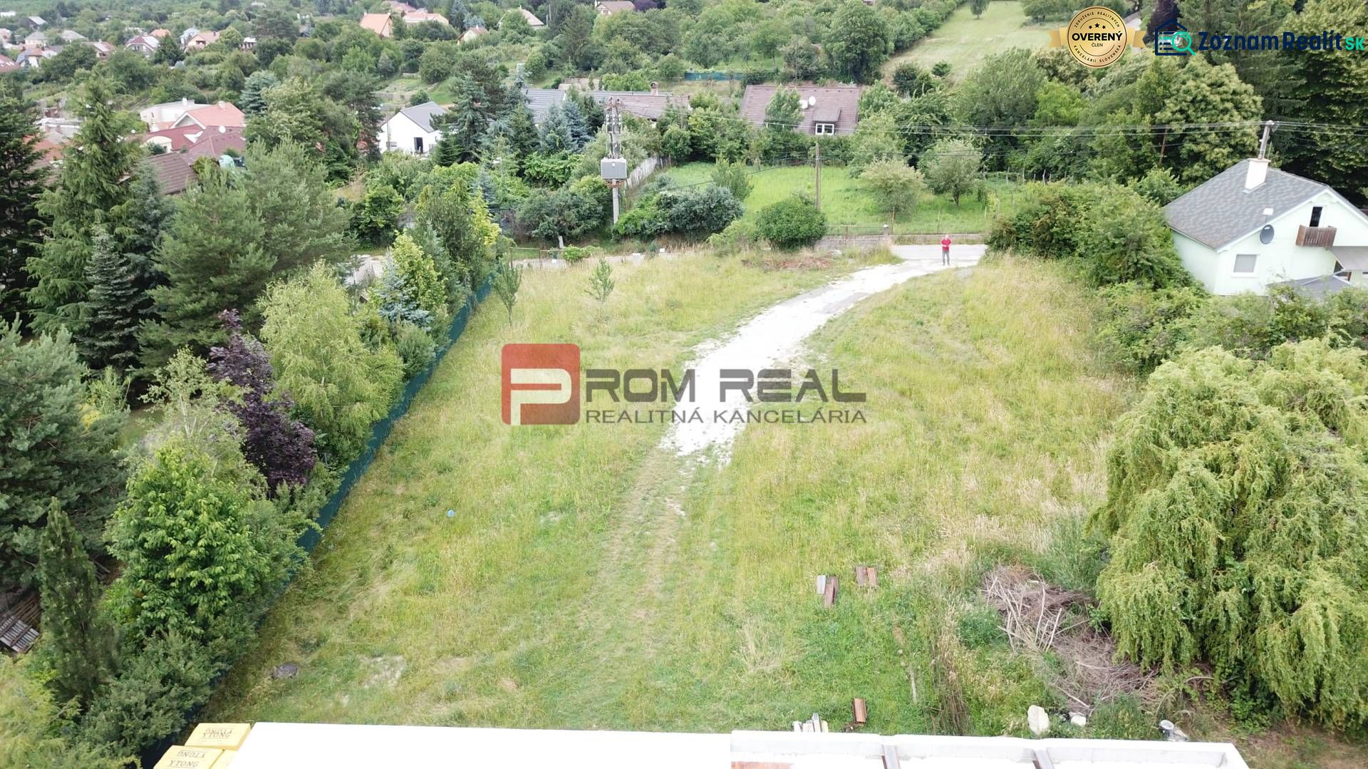 Fotografia 3