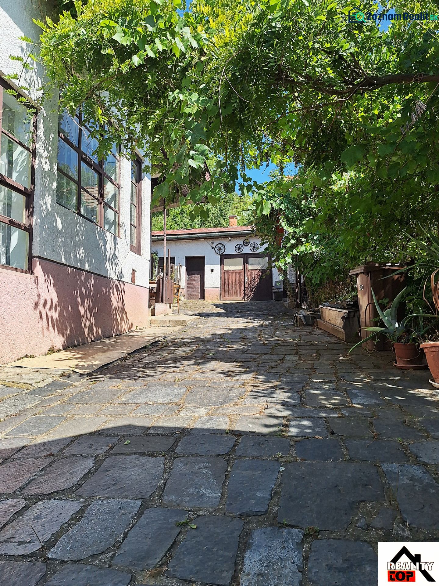 Fotografia 13