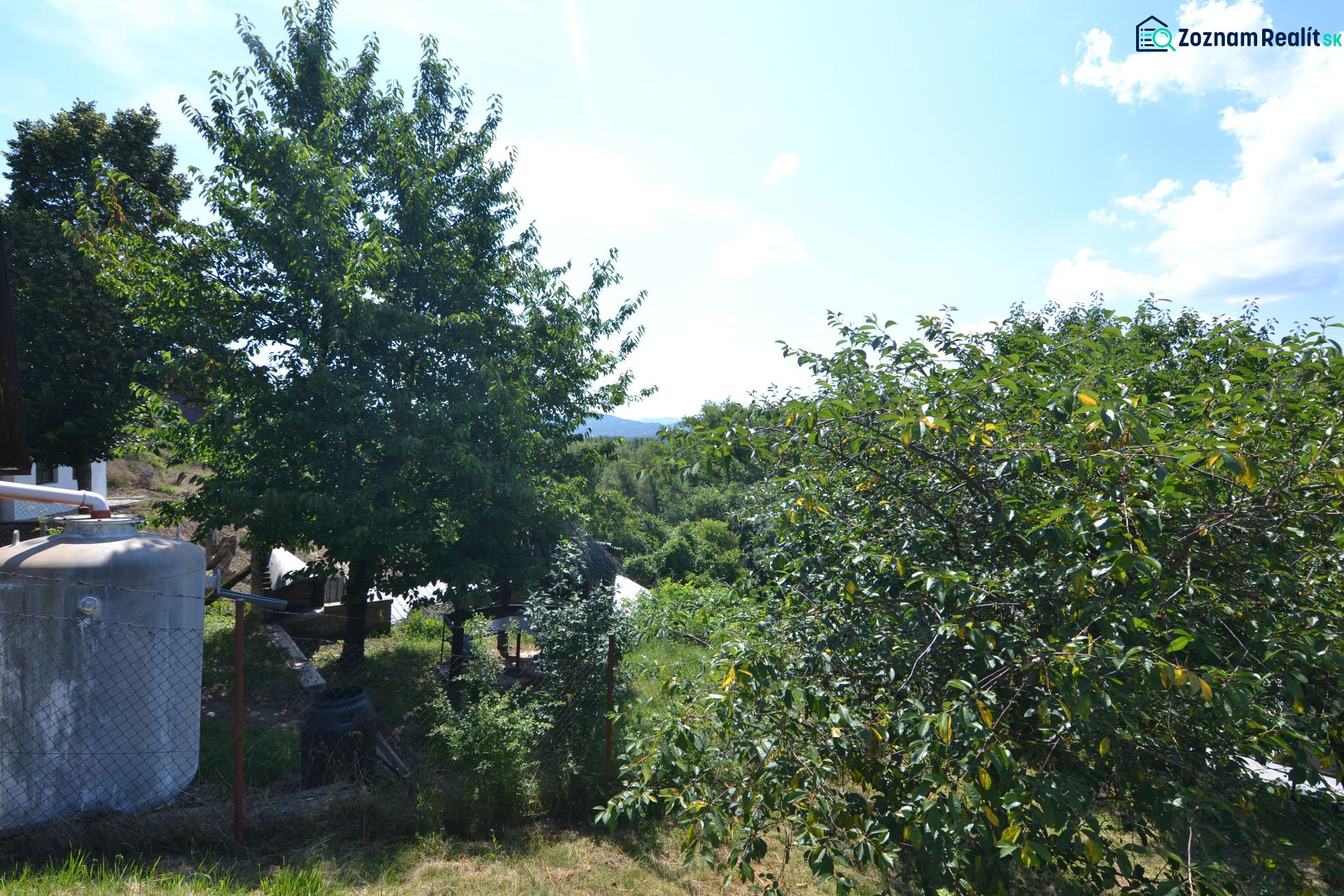 Fotografia 5