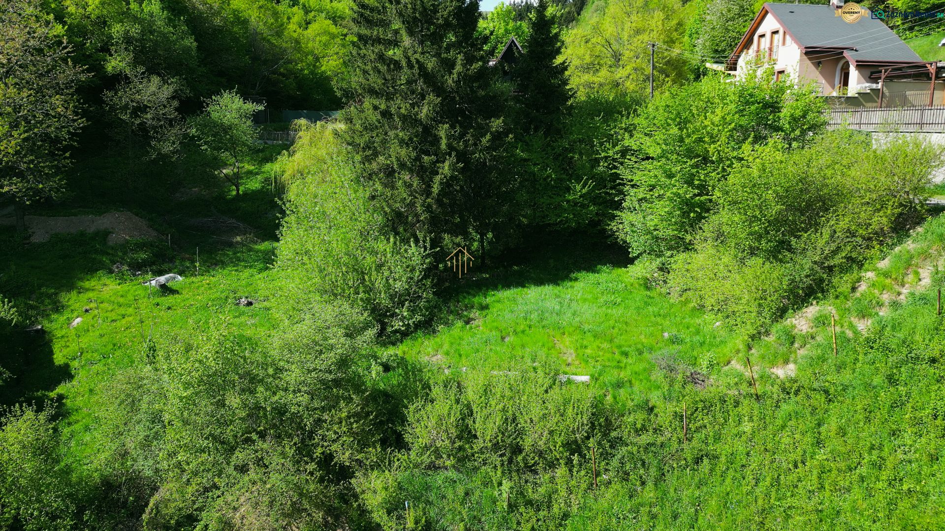 Fotografia 9