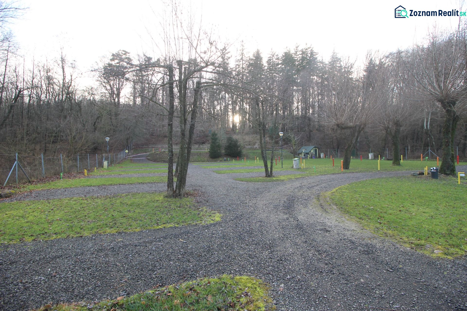 Fotografia 7