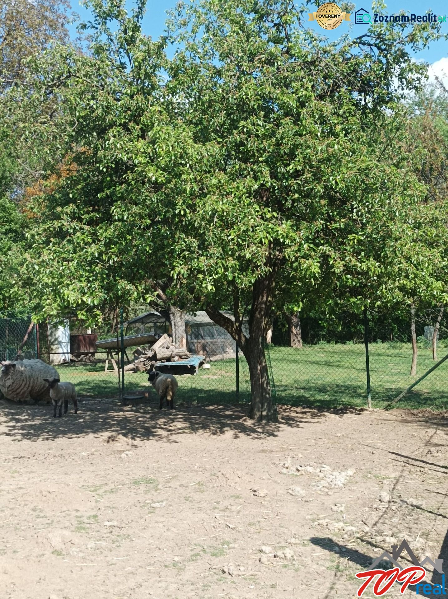 Fotografia 6