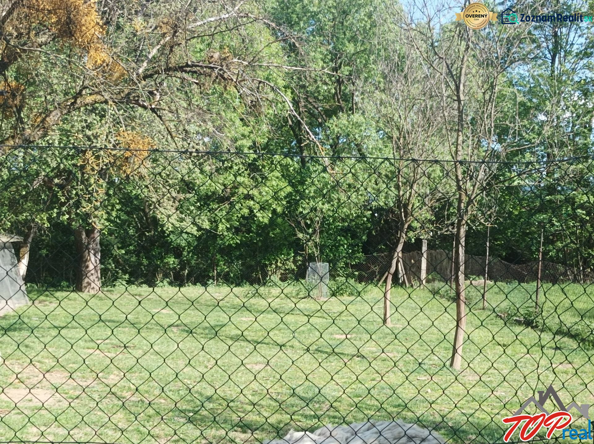 Fotografia 7