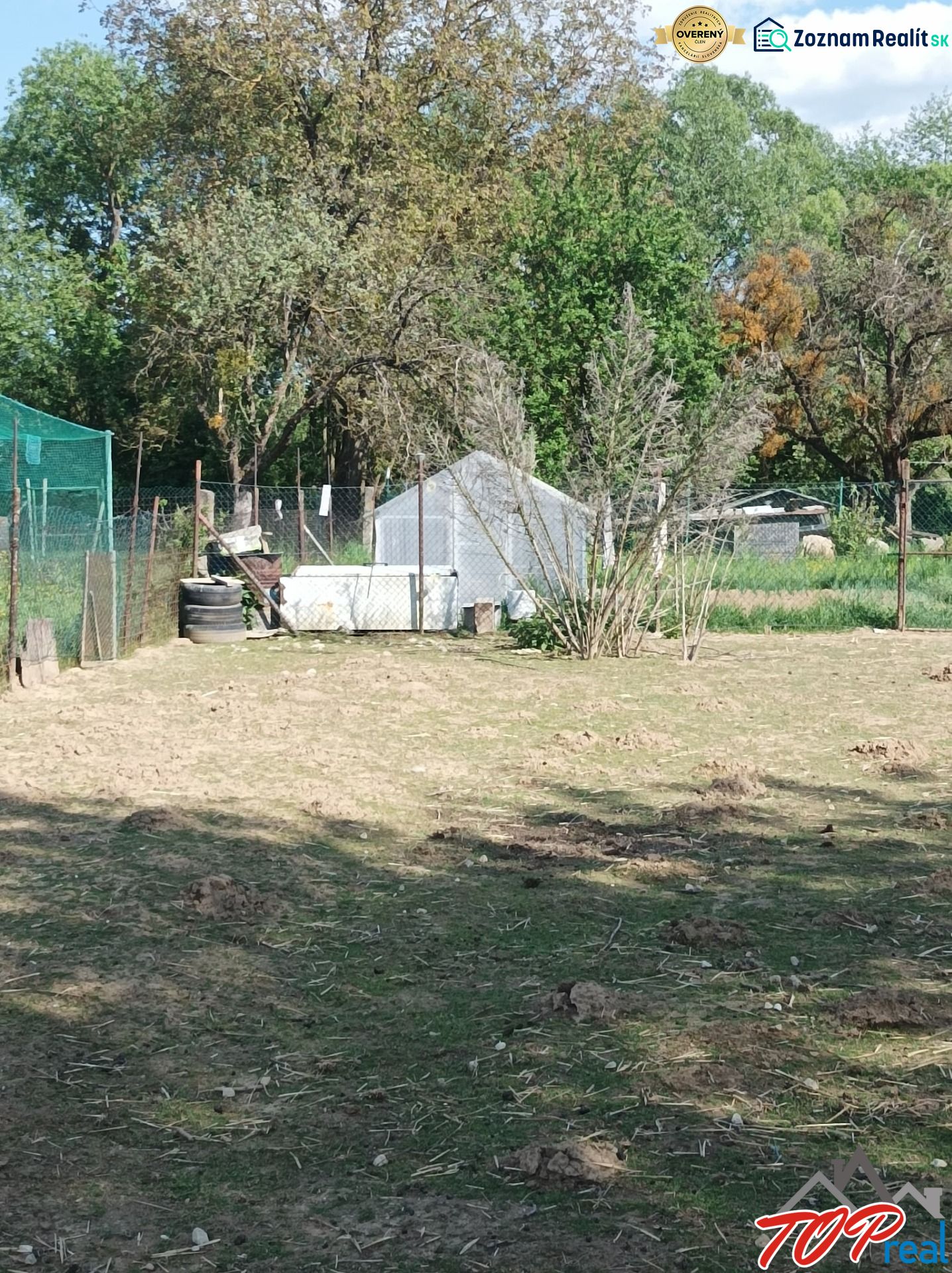 Fotografia 3
