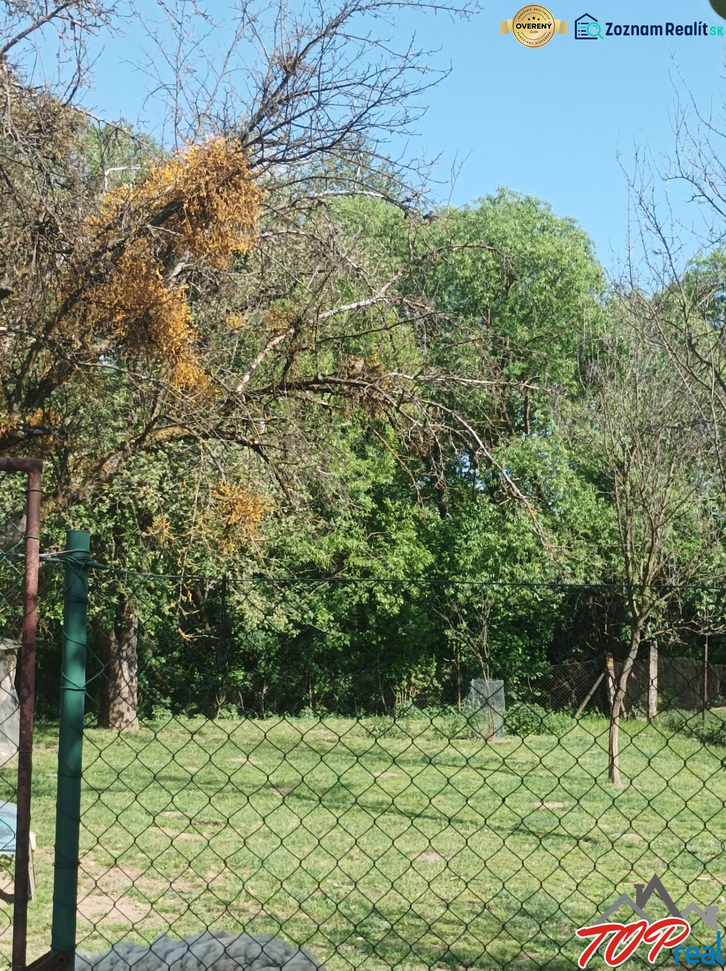 Fotografia 9