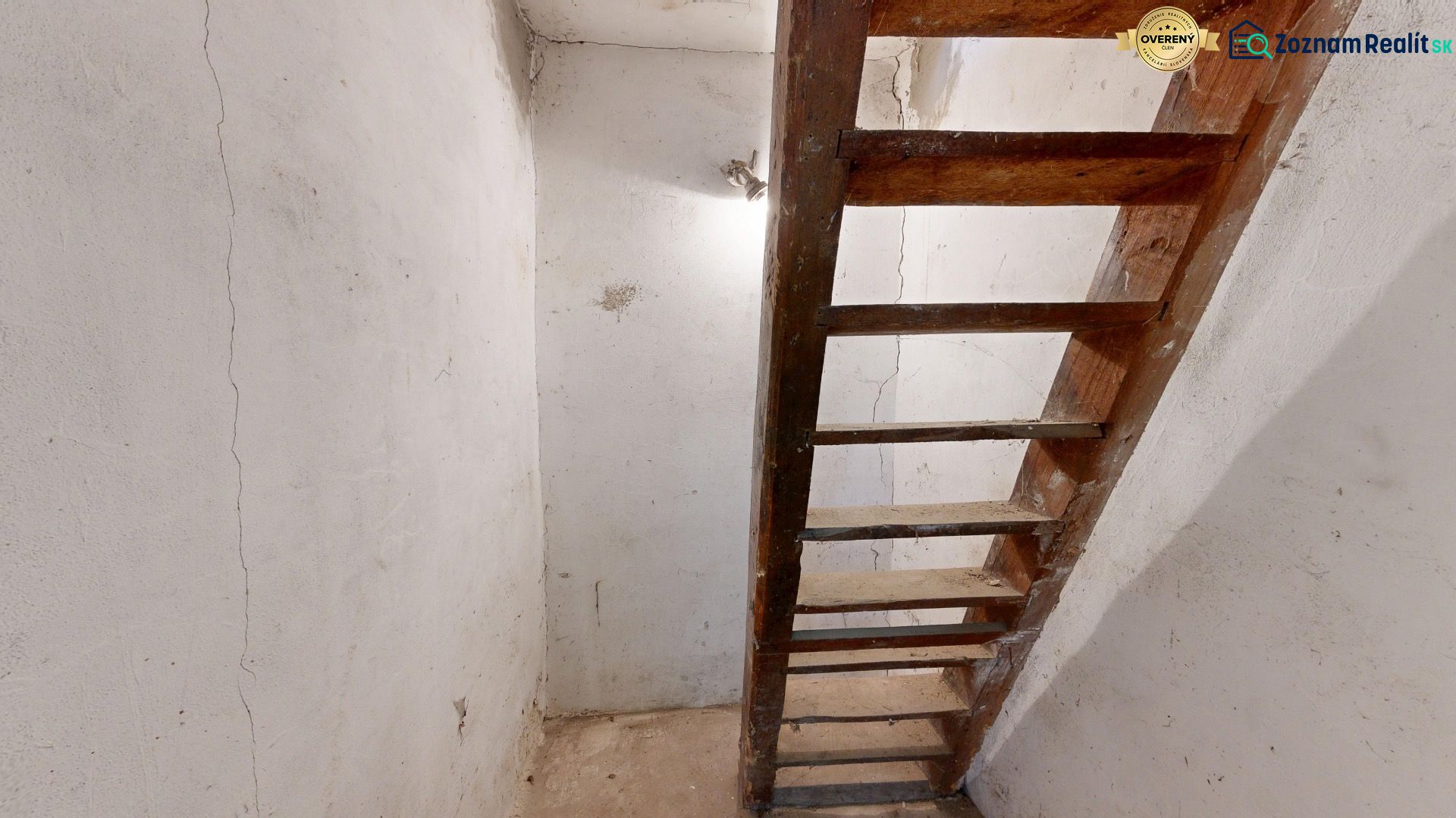 Fotografia 10