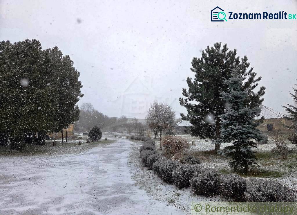 27130m2 samota obklopená lesom - Šalov, okres Levice - Zasnežená záhrada s ihličnatými stromami pri Chate v Šalove.