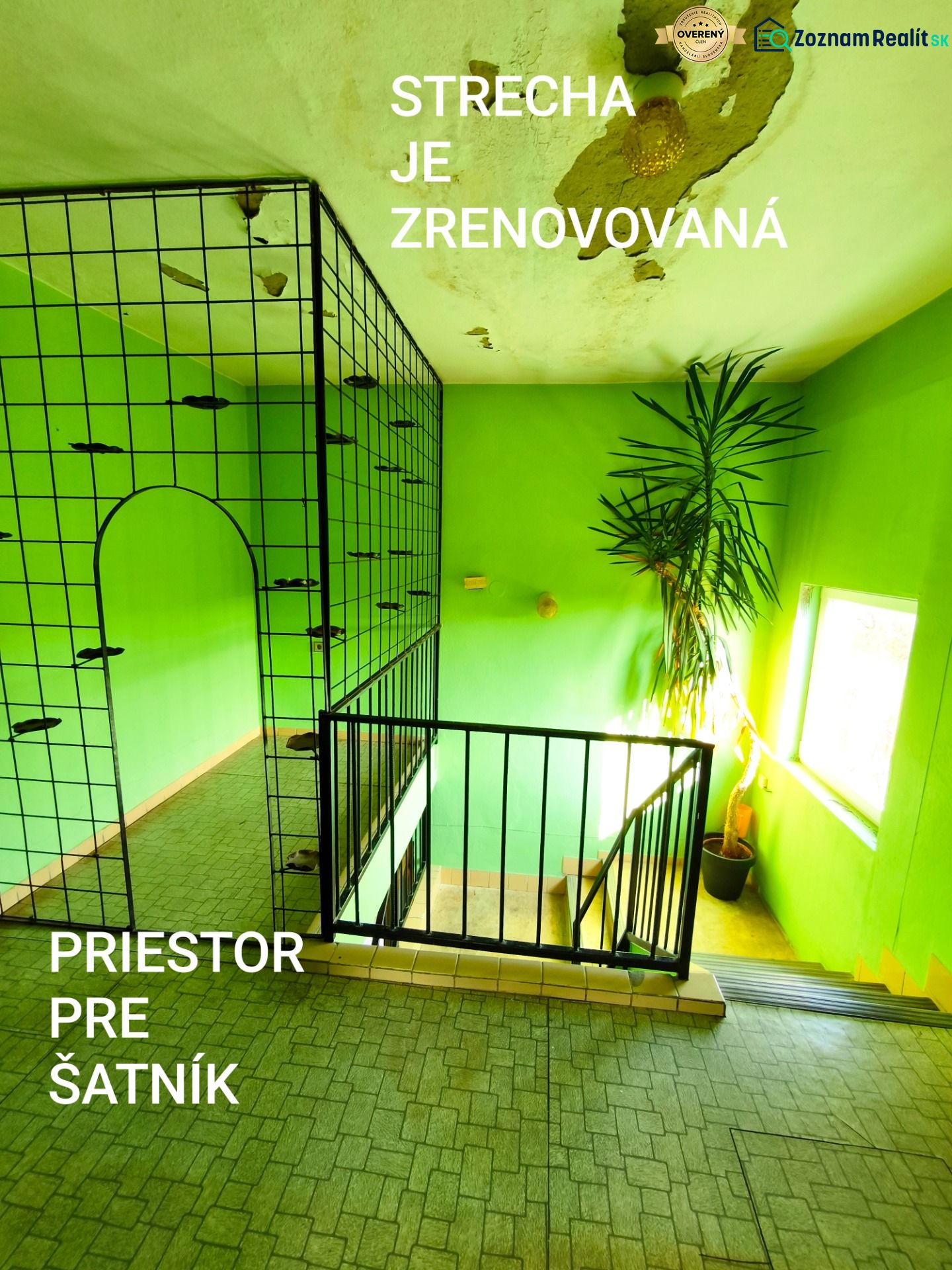 Fotografia 8